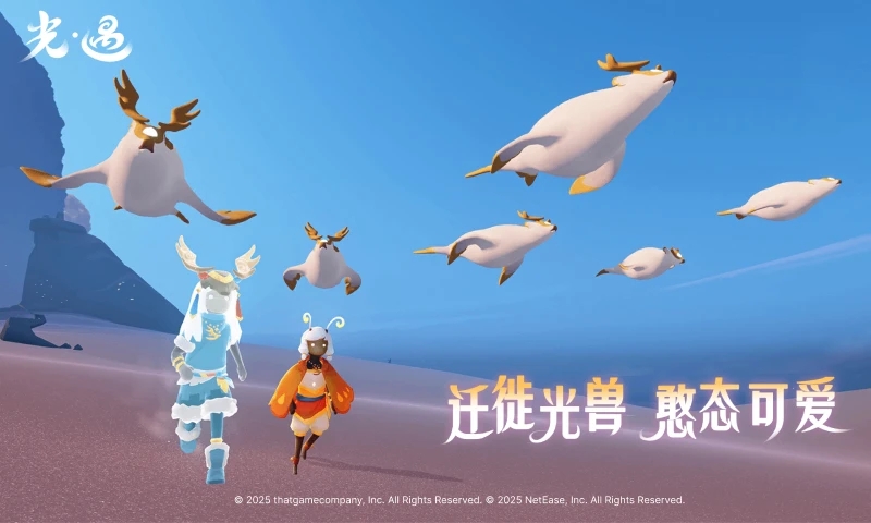 光遇网易官方正版v0.16.1安卓版截图3